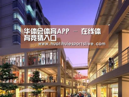 案例展示一