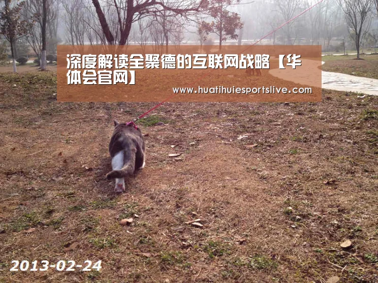 华体会娱乐
